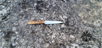 Couteau de table "Le Piquoiseau" <br> Manche en Bois d'Olivier du Luberon – Image 4