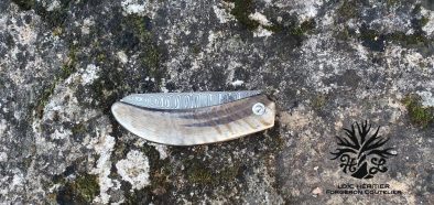 Couteau Pliant "L'Assalis" en Acier damas, manche en corne de bélier – Image 5